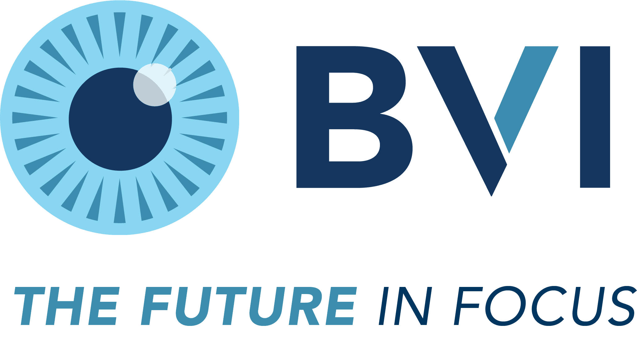 Logo of BVI Medical