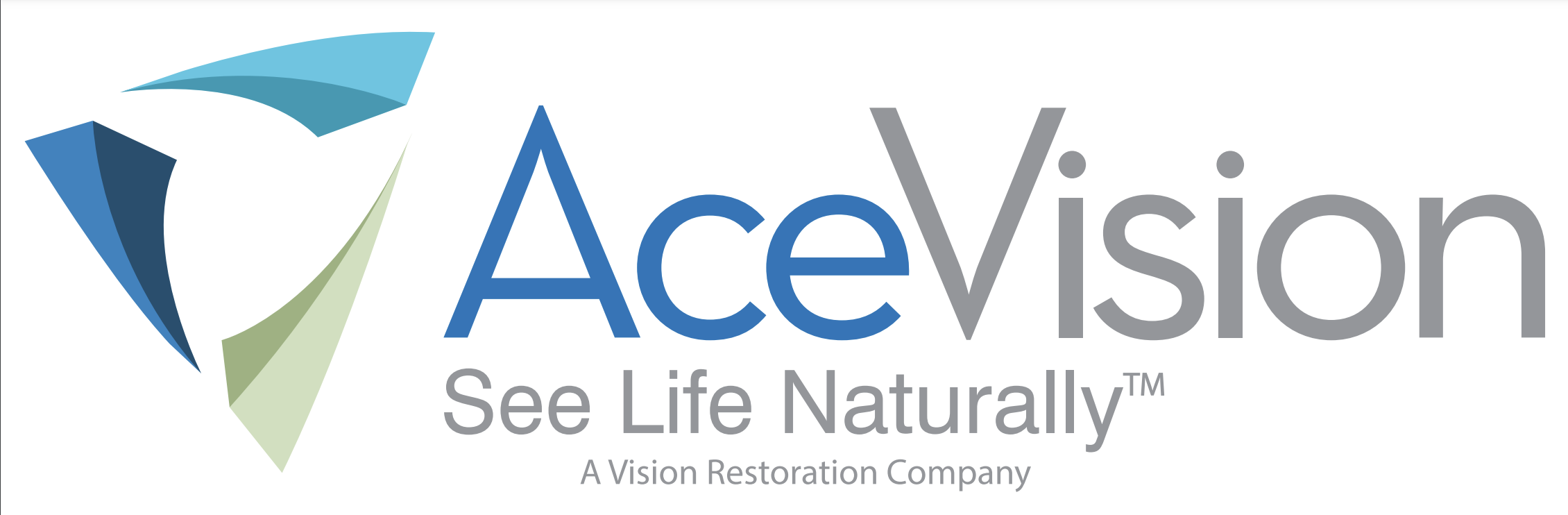 Logo of Ace Vision Group